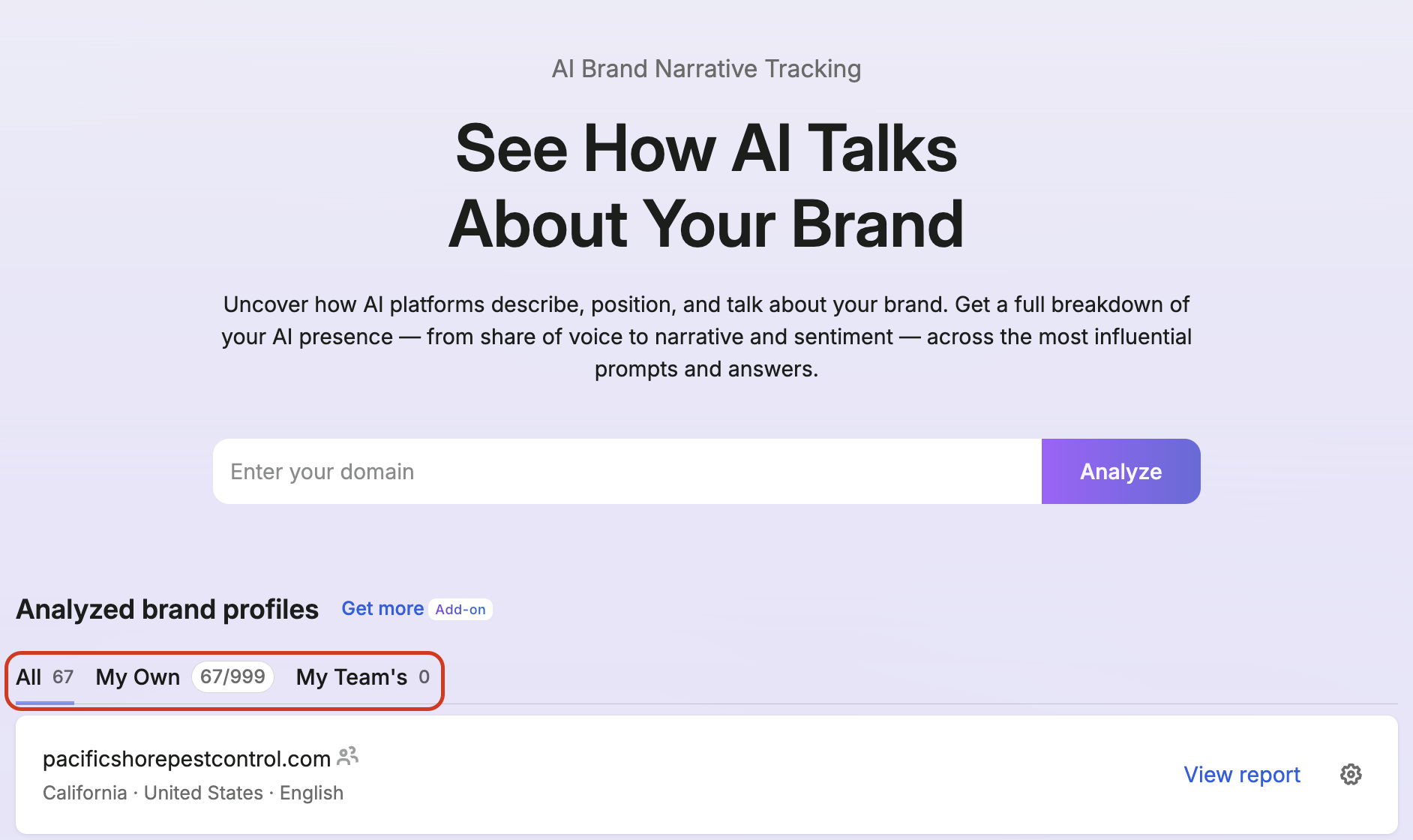 Brand Performance Reports image 17